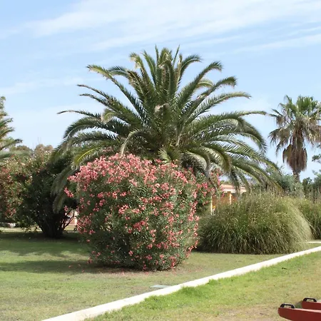 Piscina Rei 4* كوستا ري